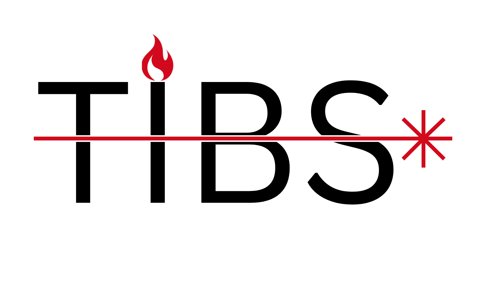 TIBS interieur